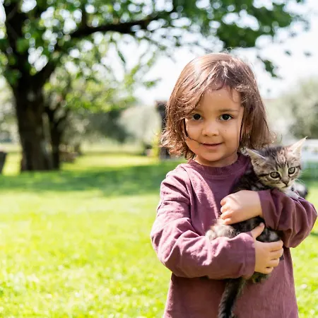 Çiftlik konaklama Ca Del Gravedona